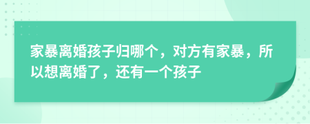 家暴离婚孩子归哪个，对方有家暴，所以想离婚了，还有一个孩子