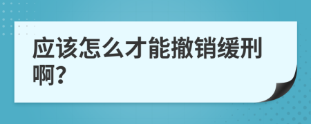 应该怎么才能撤销缓刑啊？