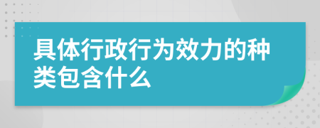 具体行政行为效力的种类包含什么