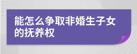 能怎么争取非婚生子女的抚养权