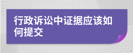 行政诉讼中证据应该如何提交