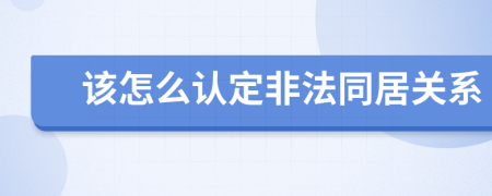该怎么认定非法同居关系