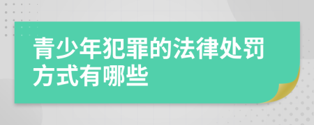 青少年犯罪的法律处罚方式有哪些