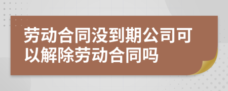 劳动合同没到期公司可以解除劳动合同吗