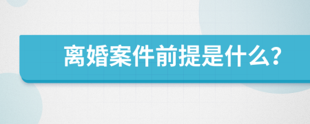 离婚案件前提是什么？