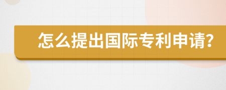 怎么提出国际专利申请？