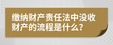 缴纳财产责任法中没收财产的流程是什么？