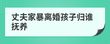 丈夫家暴离婚孩子归谁抚养