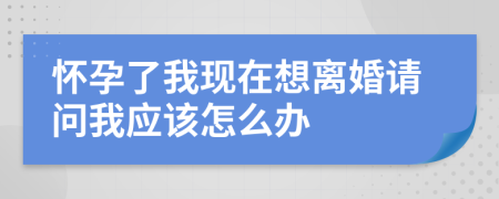 怀孕了我现在想离婚请问我应该怎么办