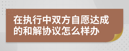 在执行中双方自愿达成的和解协议怎么样办