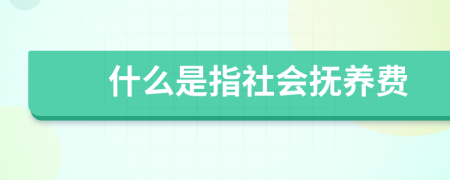 什么是指社会抚养费