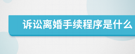 诉讼离婚手续程序是什么