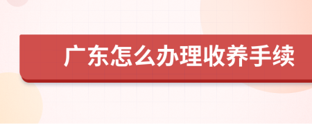 广东怎么办理收养手续