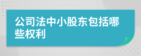 公司法中小股东包括哪些权利