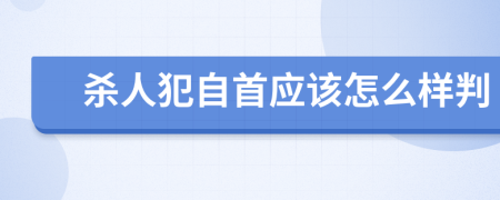 杀人犯自首应该怎么样判