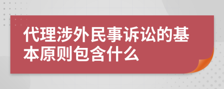 代理涉外民事诉讼的基本原则包含什么