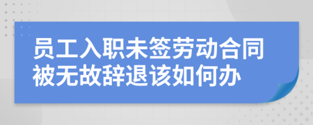 员工入职未签劳动合同被无故辞退该如何办