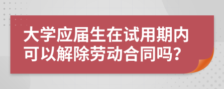 大学应届生在试用期内可以解除劳动合同吗？