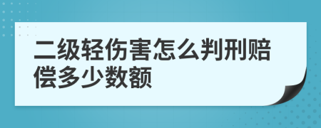 二级轻伤害怎么判刑赔偿多少数额