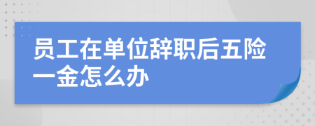 员工在单位辞职后五险一金怎么办