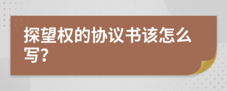 探望权的协议书该怎么写？