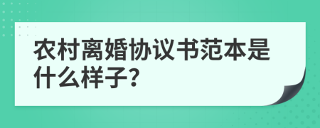 农村离婚协议书范本是什么样子？