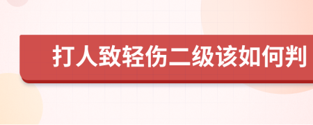 打人致轻伤二级该如何判