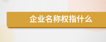 企业名称权指什么