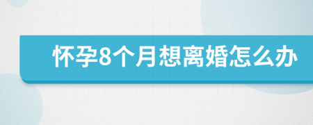 怀孕8个月想离婚怎么办