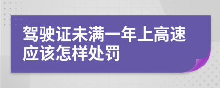 驾驶证未满一年上高速应该怎样处罚