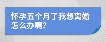 怀孕五个月了我想离婚怎么办啊？