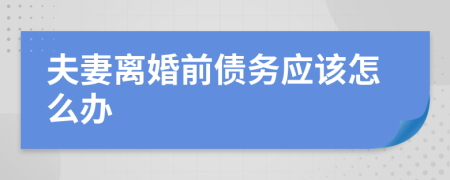 夫妻离婚前债务应该怎么办