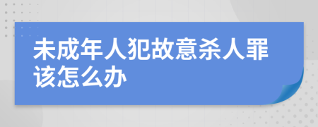 未成年人犯故意杀人罪该怎么办