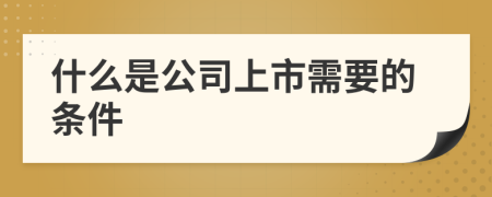 什么是公司上市需要的条件