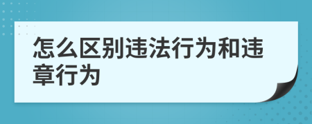 怎么区别违法行为和违章行为