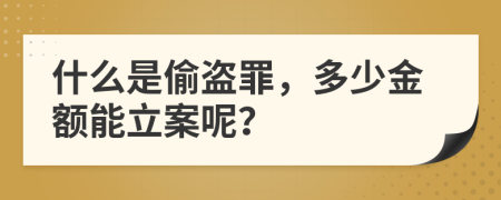 什么是偷盗罪，多少金额能立案呢？