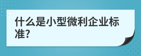 什么是小型微利企业标准?