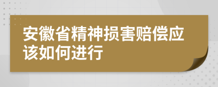 安徽省精神损害赔偿应该如何进行