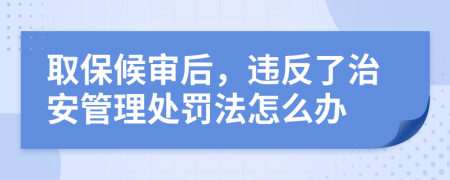 取保候审后，违反了治安管理处罚法怎么办