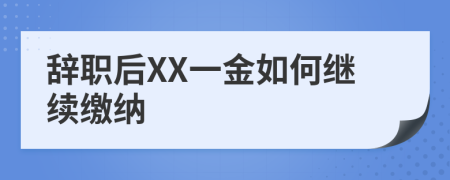 辞职后XX一金如何继续缴纳