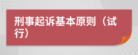 刑事起诉基本原则（试行）