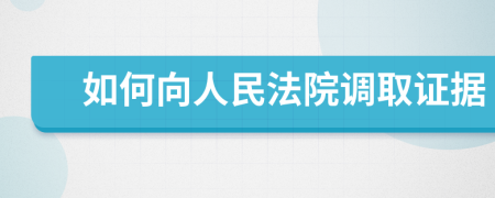 如何向人民法院调取证据