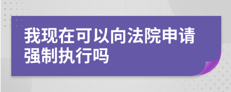 我现在可以向法院申请强制执行吗