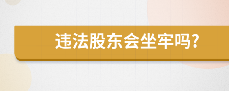 违法股东会坐牢吗?