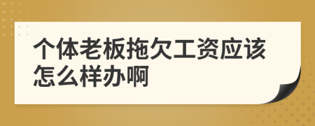 个体老板拖欠工资应该怎么样办啊