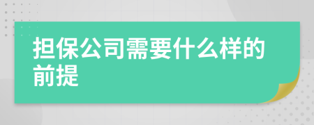 担保公司需要什么样的前提