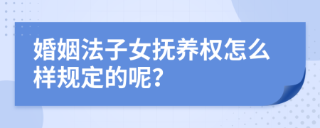 婚姻法子女抚养权怎么样规定的呢？