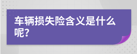 车辆损失险含义是什么呢？