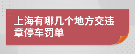 上海有哪几个地方交违章停车罚单