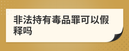 非法持有毒品罪可以假释吗